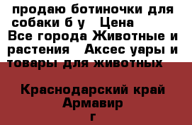 продаю ботиночки для собаки б/у › Цена ­ 600 - Все города Животные и растения » Аксесcуары и товары для животных   . Краснодарский край,Армавир г.